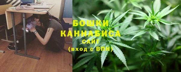 стафф Нефтегорск