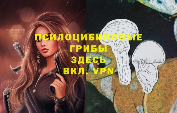стафф Нефтегорск